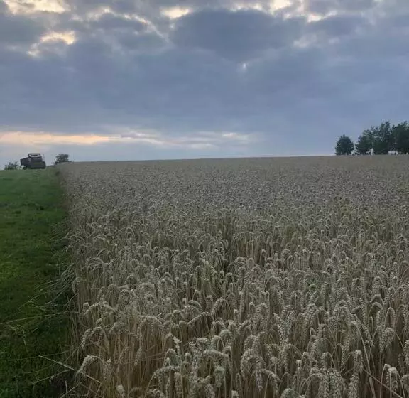 Hotelli Au Coeur De Notre Ferme Céréalière