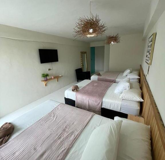 ホテル Cacao Spa Cozumel