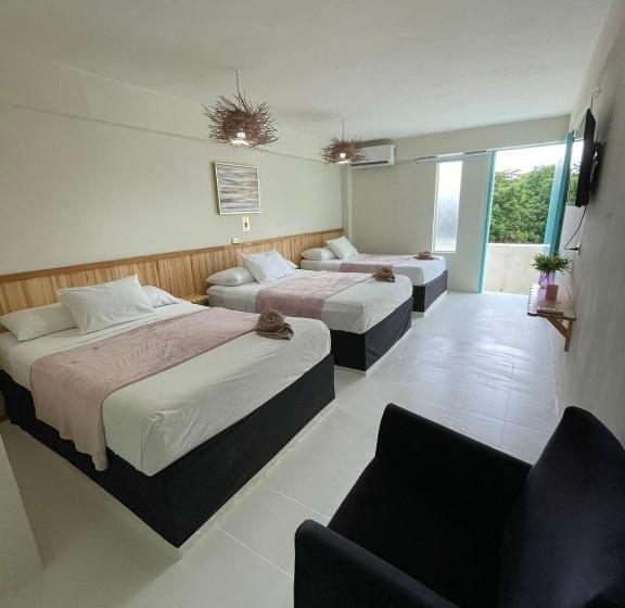 ホテル Cacao Spa Cozumel