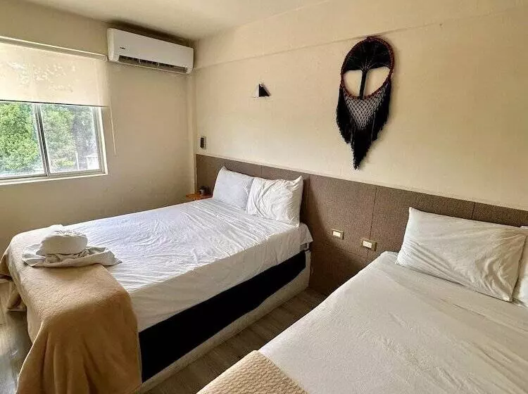 ホテル Cacao Spa Cozumel