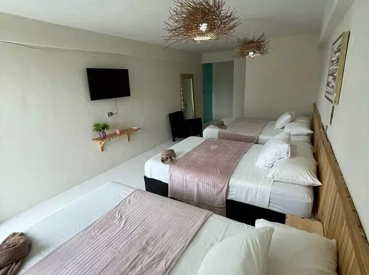 ホテル Cacao Spa Cozumel