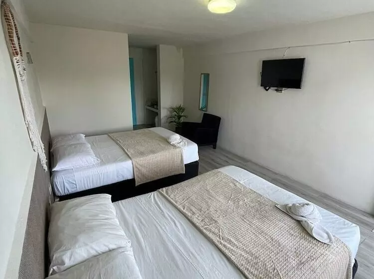 ホテル Cacao Spa Cozumel