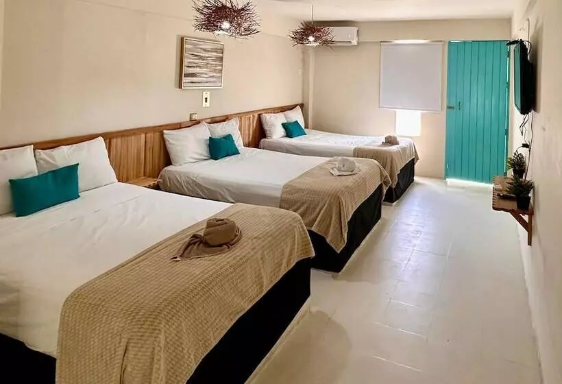 ホテル Cacao Spa Cozumel