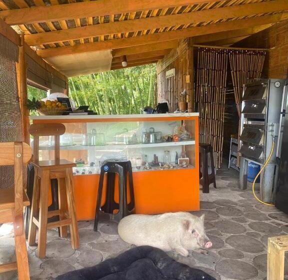 酒店 D Cabezas Eco