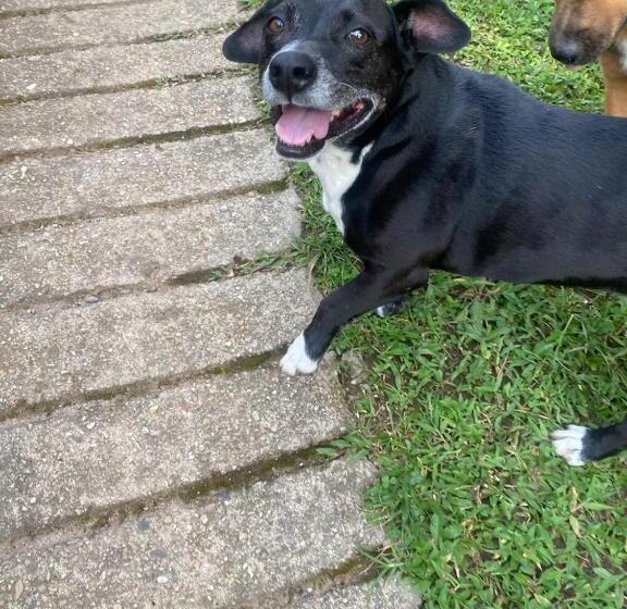 酒店 D Cabezas Eco