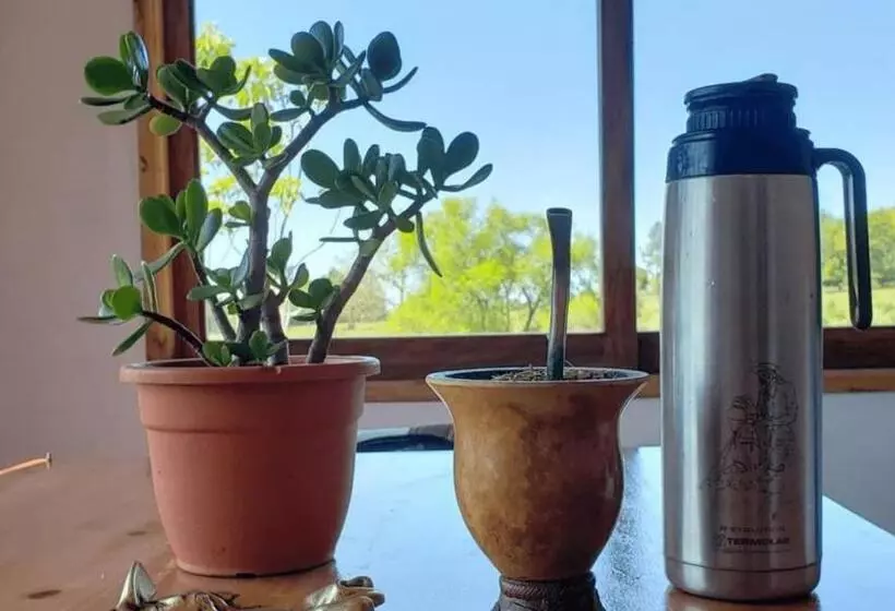 Hotelli El Silencio: Tu Oasis De Paz En Cerro Azul, Misiones