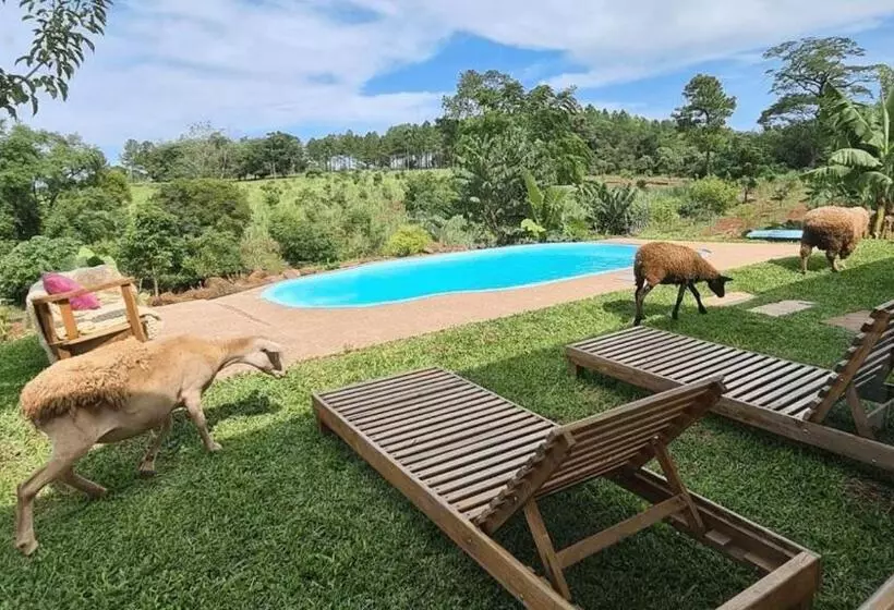 Hotelli El Silencio: Tu Oasis De Paz En Cerro Azul, Misiones