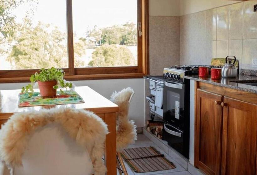 Отель El Silencio: Tu Oasis De Paz En Cerro Azul, Misiones