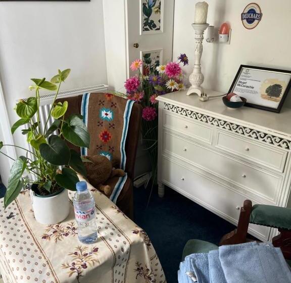 بنسيون Cobwebs