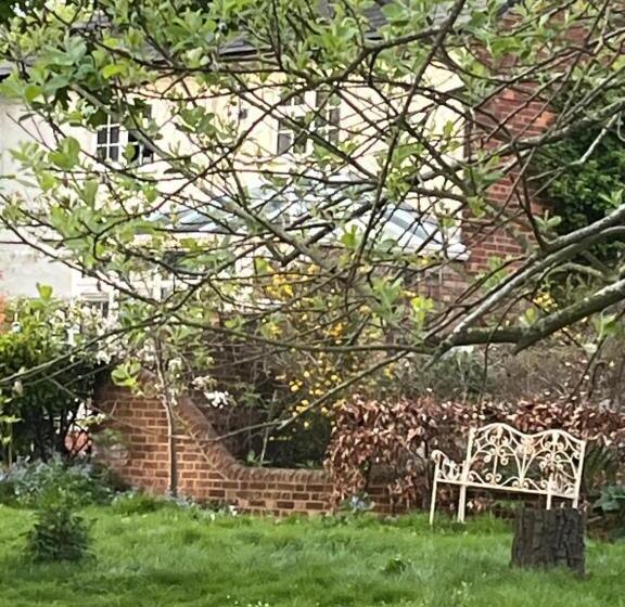 بنسيون Cobwebs