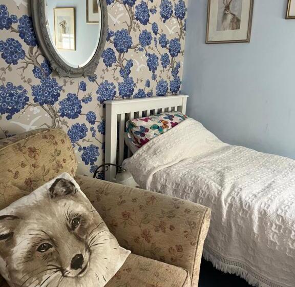 بنسيون Cobwebs