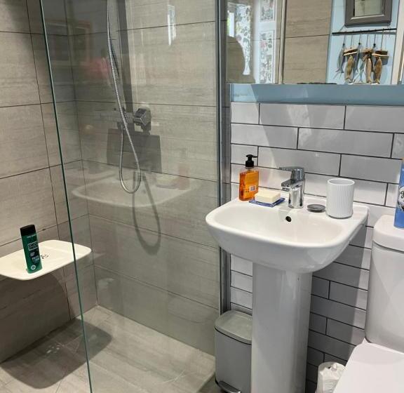 بنسيون Cobwebs