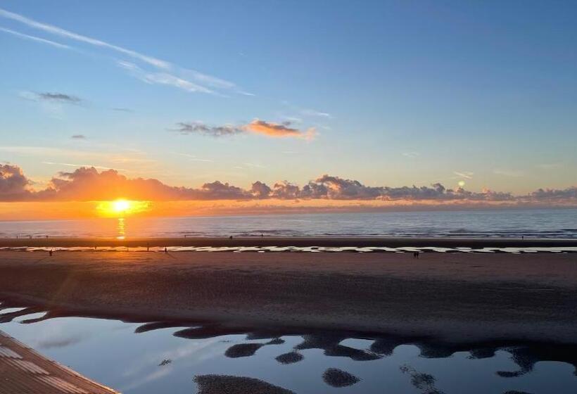 بنسيون Double Room With Private Bathroom 16 Havelock Street 6