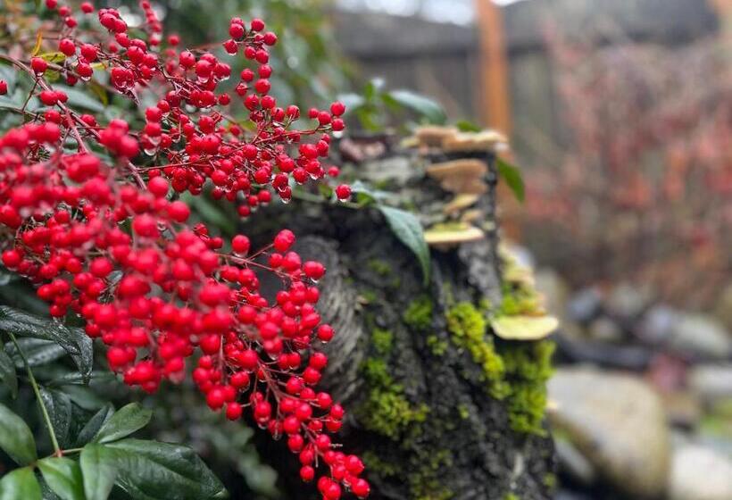 Panzió Oasis Guesthouse