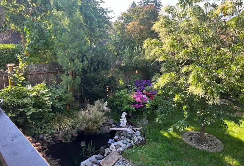 پانسیون Oasis Guesthouse