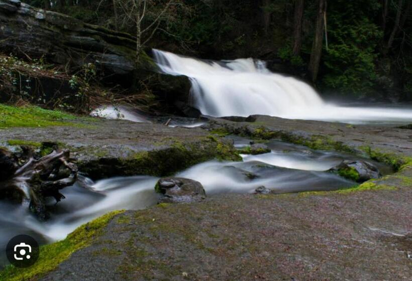 Panzió Oasis Guesthouse