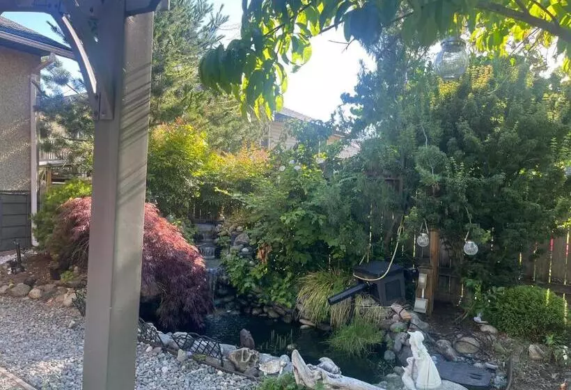 پانسیون Oasis Guesthouse