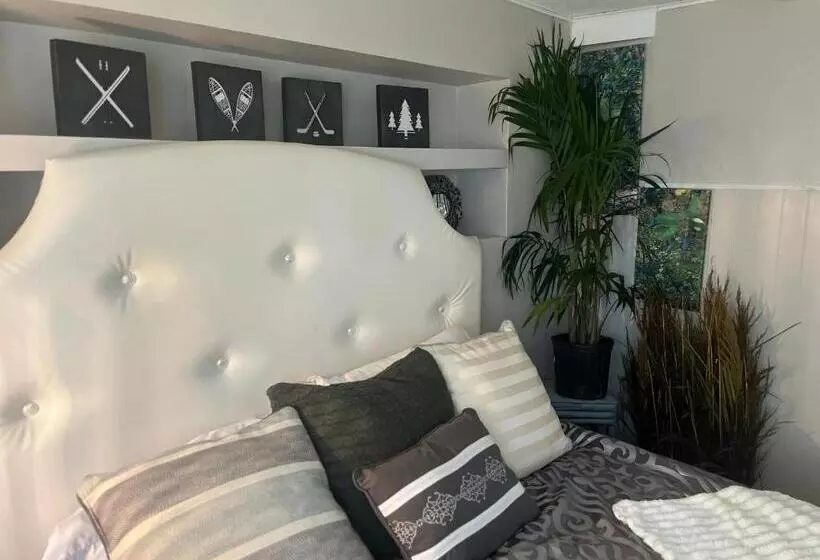 پانسیون Oasis Guesthouse