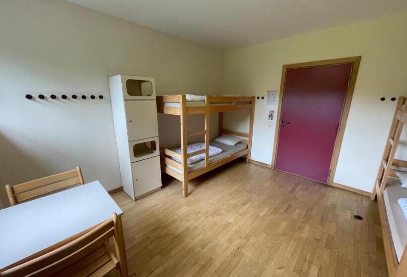 هاستل Gîte Kaleo Ovifat