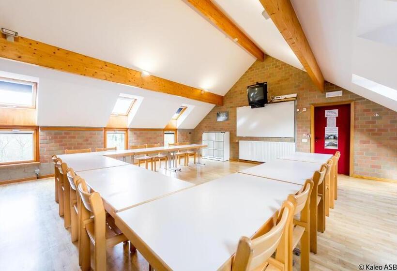 هاستل Gîte Kaleo Ovifat