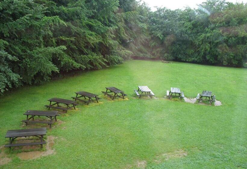 هاستل Gîte Kaleo Ovifat