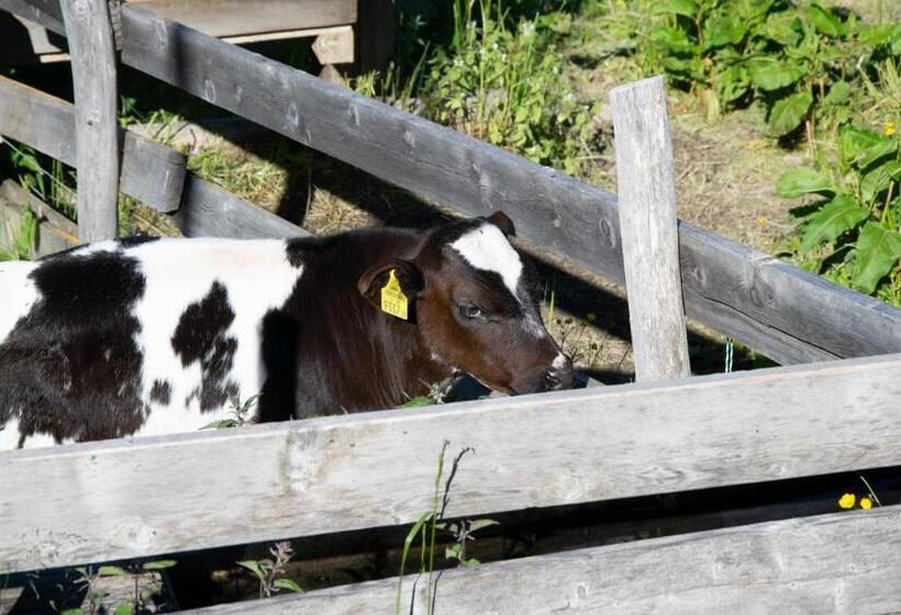 Ostello Tanzalm Jerzens