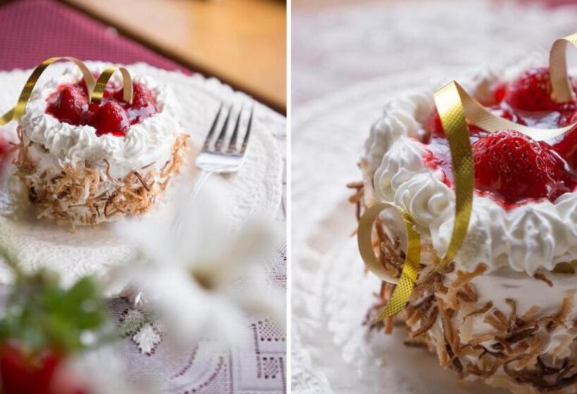 Auberge Dans Les Bras De Morphée B&b