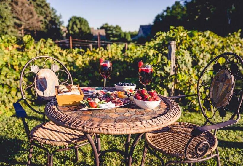 Auberge Dans Les Bras De Morphée B&b