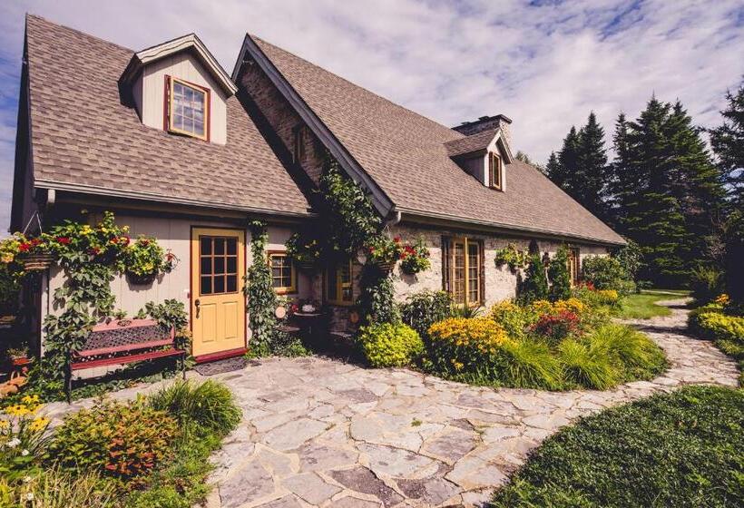 Auberge Dans Les Bras De Morphée B&b