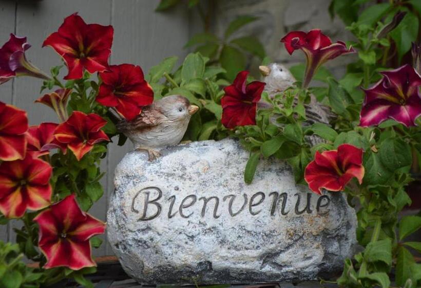 Auberge Dans Les Bras De Morphée B&b