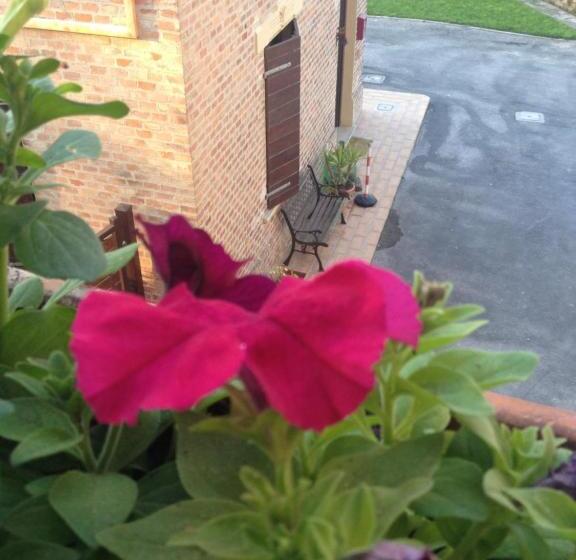 B&b Il Conventino 44