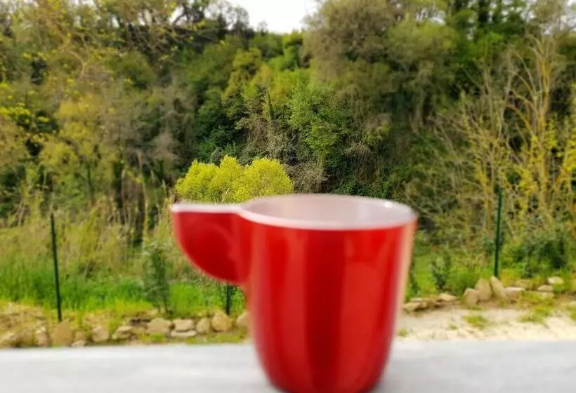 B&b Passalacqua