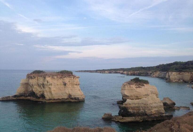 צימר Caruseddhri