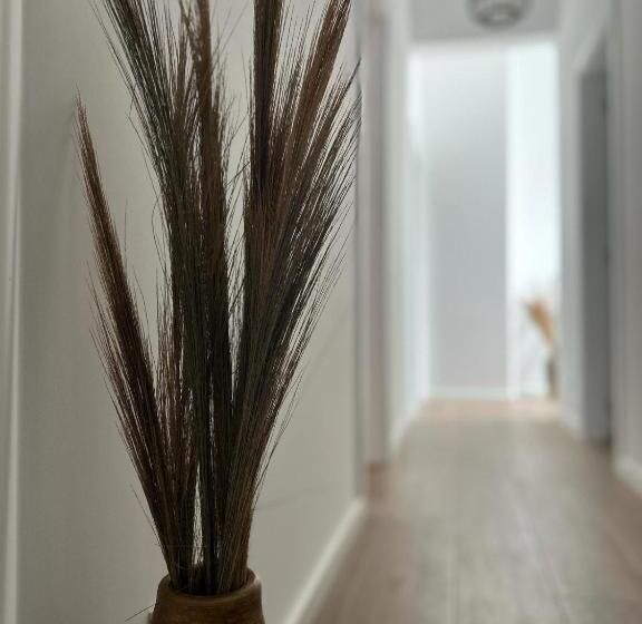 تختخواب و صبحانه Casa Noava