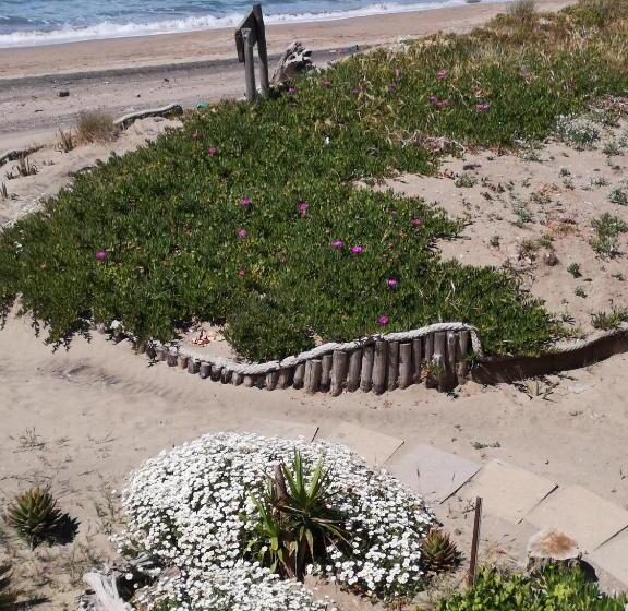 צימר La Duna Beach