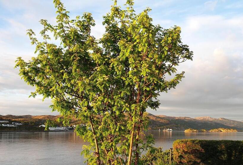 Cliffe House Bed & Breakfast