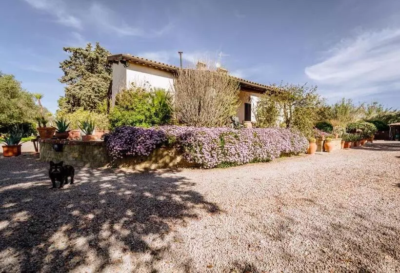 هتل Agriturismo Podere Bellavista