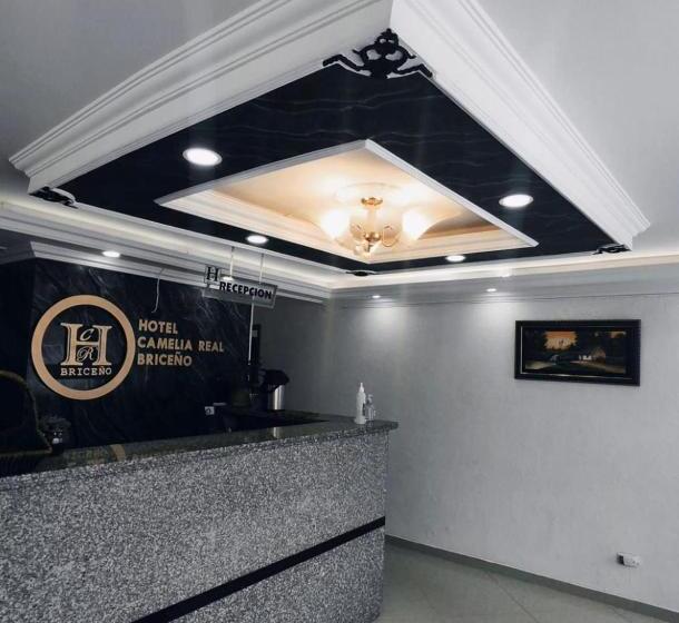 Hotel Camelia Real Briceño