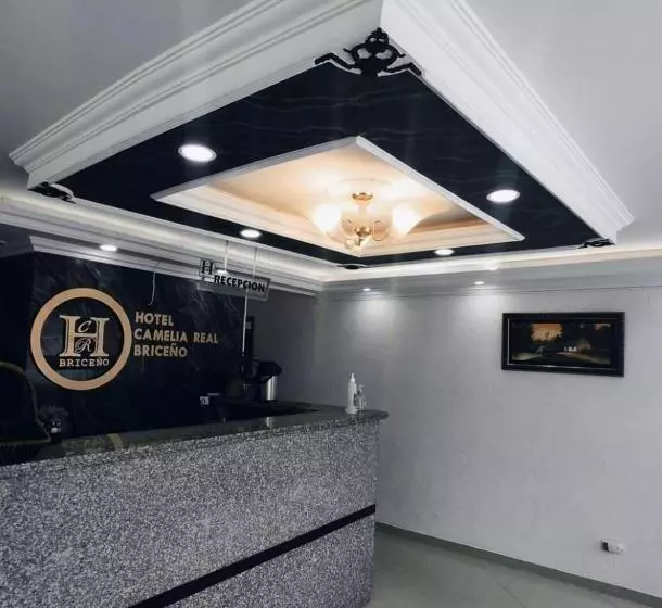 ホテル Camelia Real Briceño