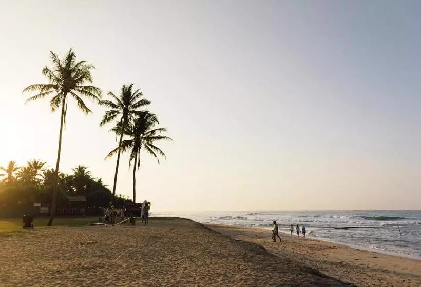 ホテル Jamu Surf Lodge