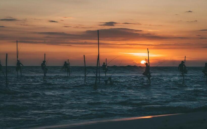 Отель Jamu Surf Lodge