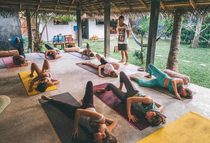 Отель Jamu Surf Lodge