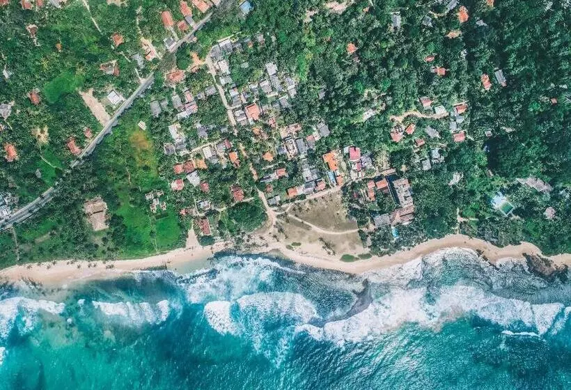 ホテル Jamu Surf Lodge