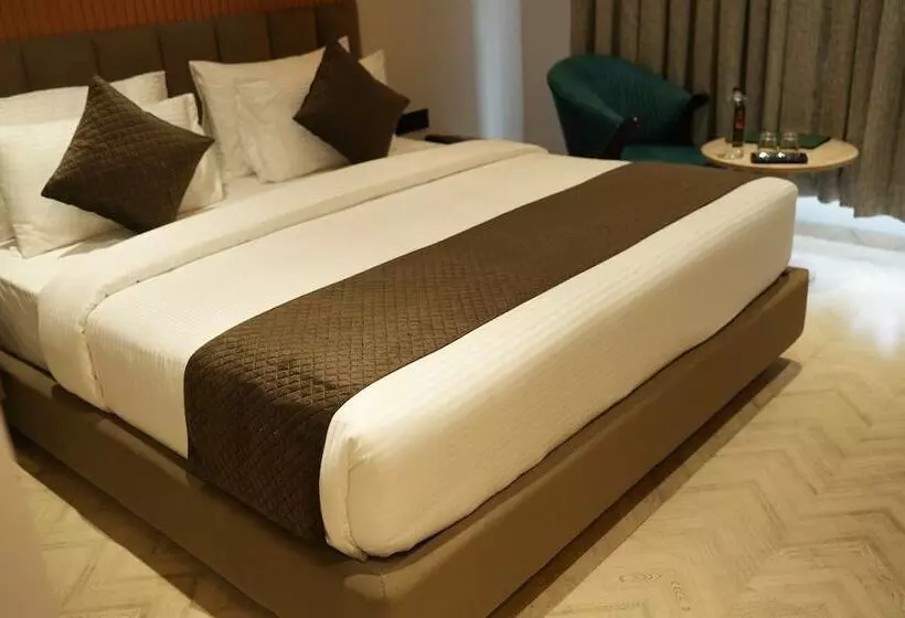 Hotelli Narayani Executive