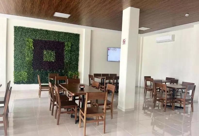 Nairy Hotel Ejecutivo