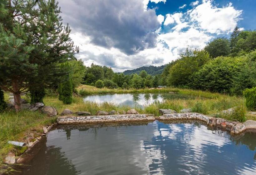 بنسيون Conacul Drahneilor