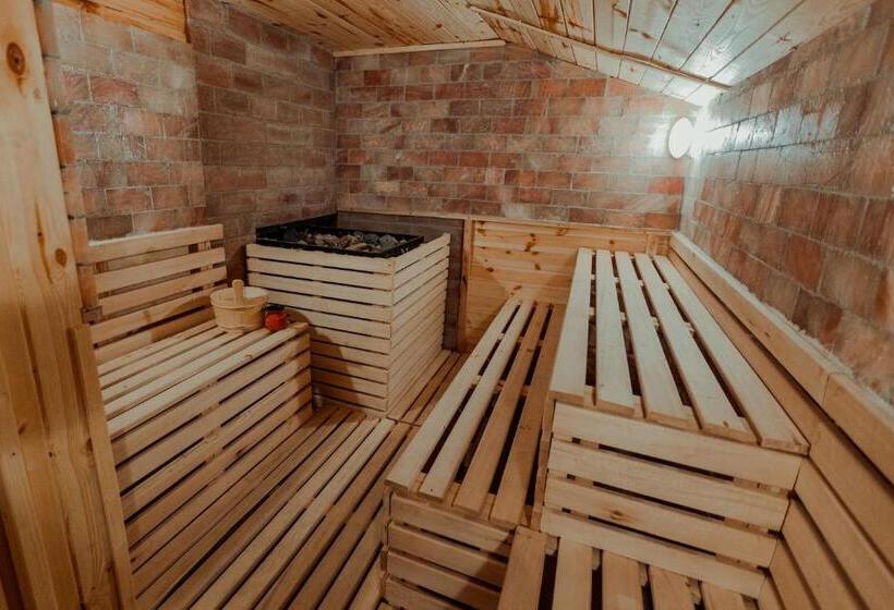 بنسيون Conacul Drahneilor