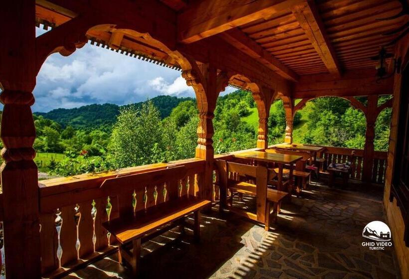 بنسيون Conacul Drahneilor