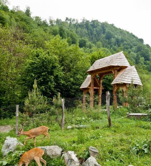 بنسيون Conacul Drahneilor