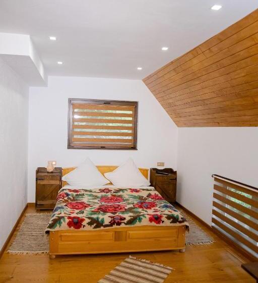 بنسيون Conacul Drahneilor